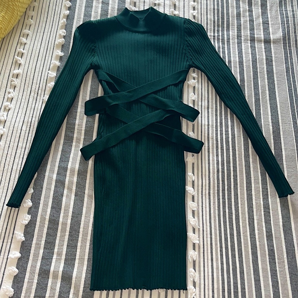 Fashion Nova Bodycon Dress